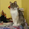 Отзыв от Анфиса Жарова